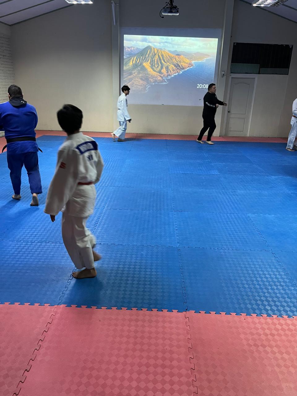 Judocas con judogi azul y blanco entrenando sobre el tatami